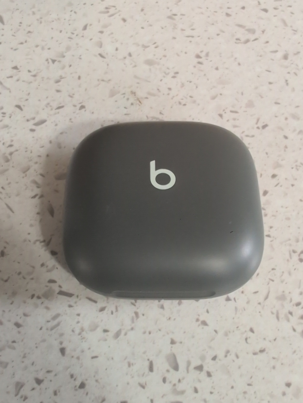 Beats Fit Pro Charger Case